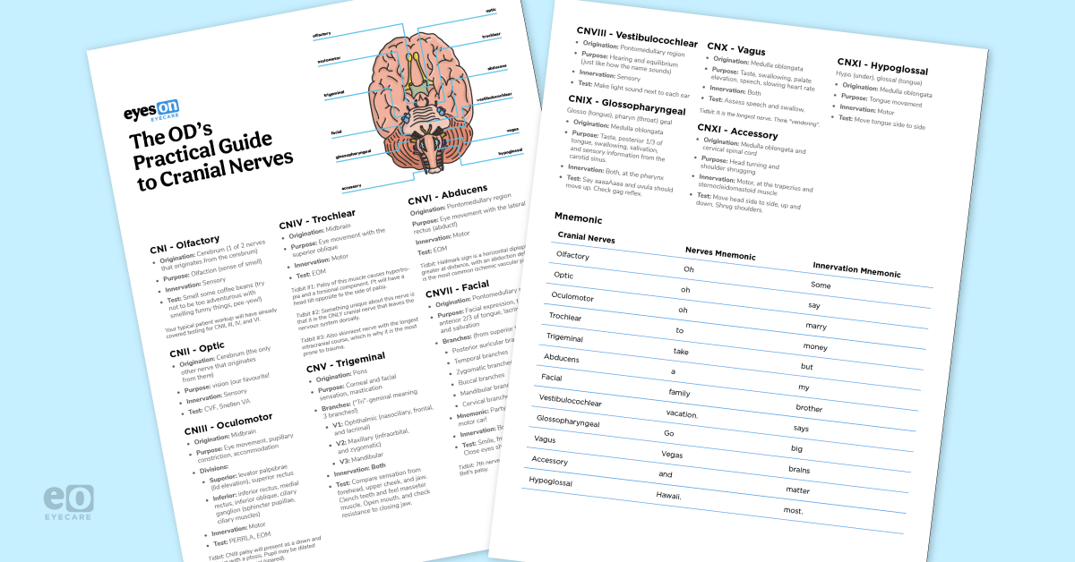 The OD's Practical Guide to Cranial Nerves: Downloadable Cheat Sheet