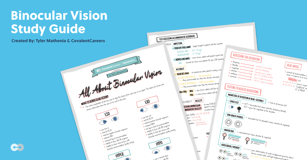 All About Binocular Vision: Downloadable Study Guide