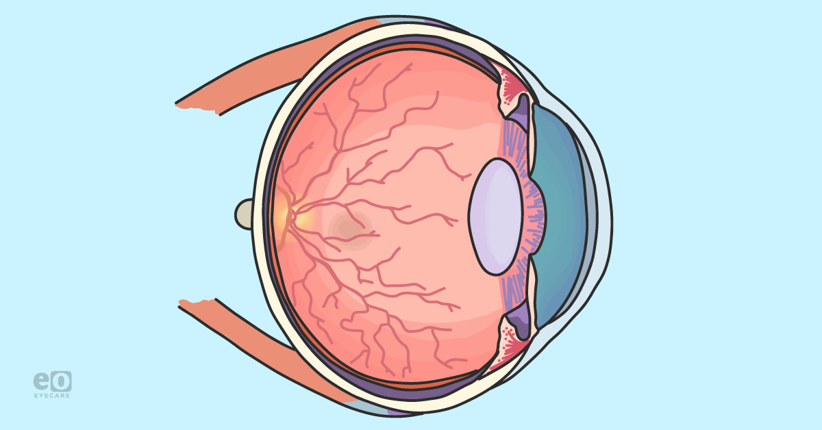 The Role of Macular Pigment Optical Density in Ocular Health