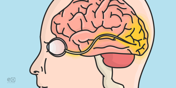 Demyelination Differentiation: When It’s Not Multiple Sclerosis