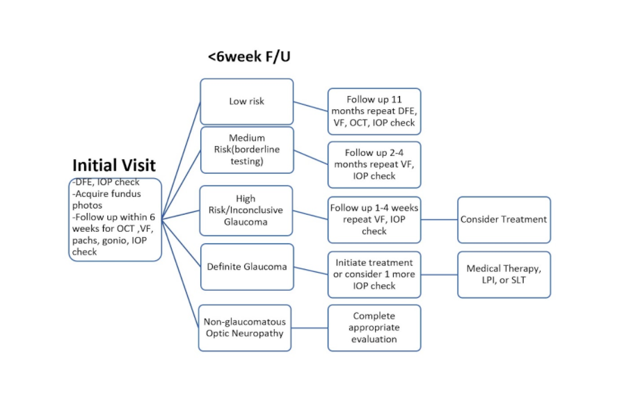 Glaucoma Flowchart.png