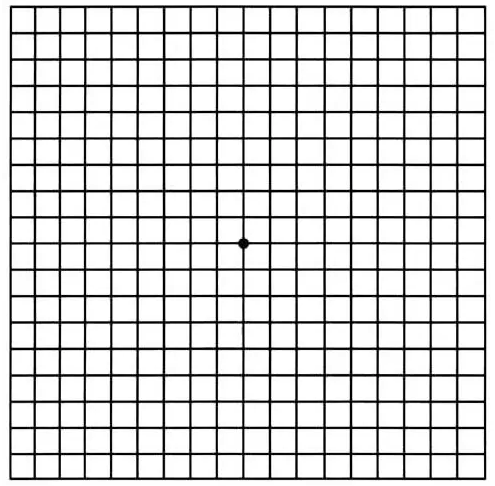 Amsler Grid Plain