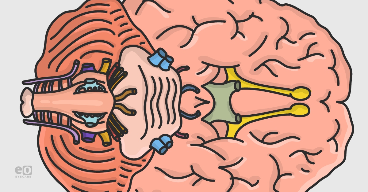 Neuro-Ophthalmic Disease in the Glaucoma Clinic