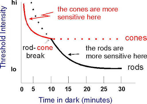 https://covalentcareers3.s3.amazonaws.com/media/original_images/Dark_Adaptation_Curve.png