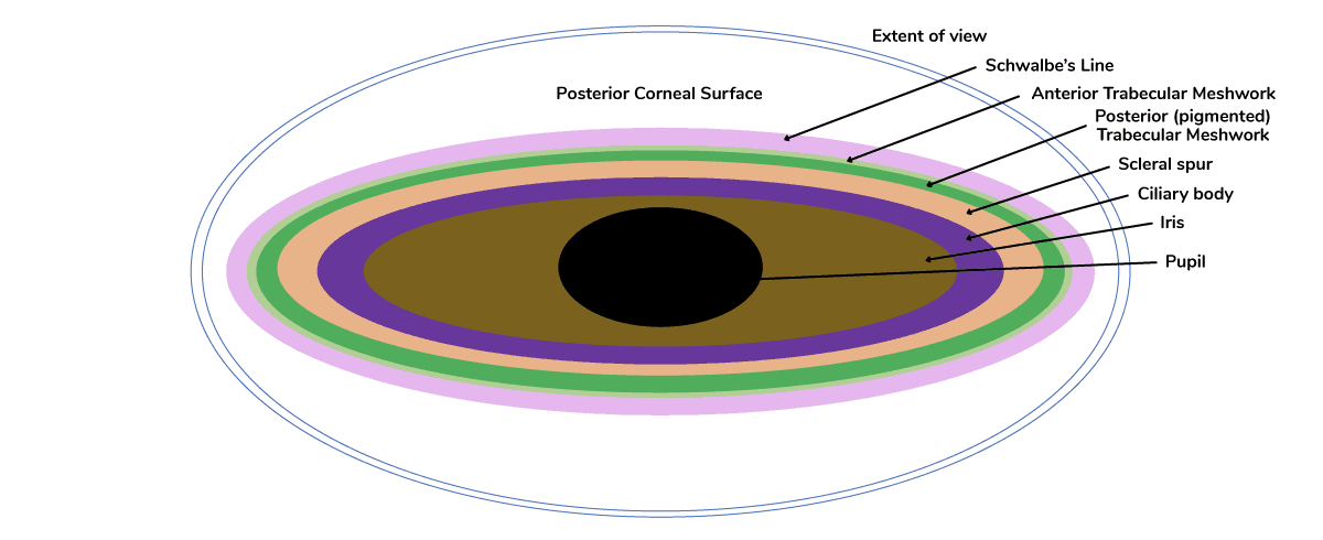 https://covalentcareers3.s3.amazonaws.com/media/original_images/Gonioscopy-Tips_Cross-section.png