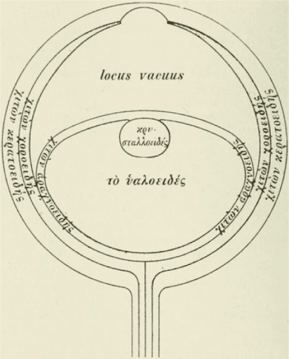 https://covalentcareers3.s3.amazonaws.com/media/original_images/eye_diagram.png